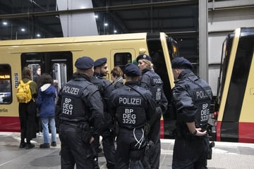 Berlin: Scheibe in S-Bahn beschmiert und Polizisten angegriffen: Duo festgenommen