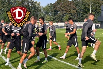 Dynamo-Dresden-Blog: Profis bereiten sich auf Ost-Derby gegen Hansa vor