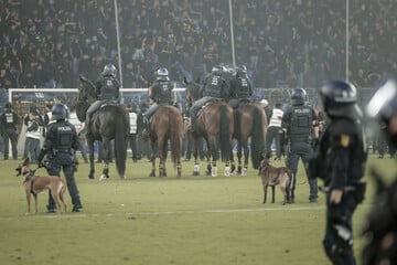 Nach Pokal-Krawallen in Mannheim: Jetzt wird gegen einen Polizisten ermittelt