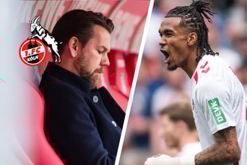 Wildes Gerücht um Damion Downs: Köln-Star vor Abflug nach England?