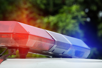 Tennessee man shot in bed by pet dog
