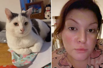 Katzen-Besitzerin kann nicht glauben, was Nachbarn, mit denen sie nie gesprochen hat, schreiben