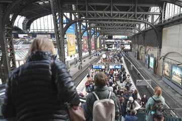 Nach heftigem Kabelschaden: Zugverkehr am Hamburger Hauptbahnhof läuft wieder