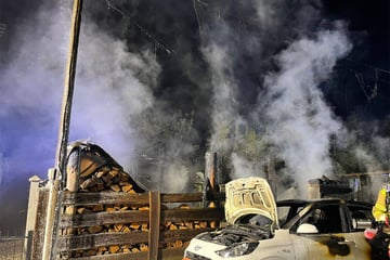 Leipzig: 70.000 Euro Schaden, Autos abgefackelt: Feuer wütet auf Grundstück bei Leipzig