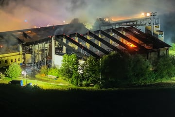 Schweinestall in Flammen: Über 1000 Tiere tot, 350 Einsatzkräfte kämpfen gegen Brand