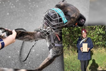 Leipzig: Rührender Abschied im Tierheim Leipzig: Patin bekommt Asche von Hund Thyson