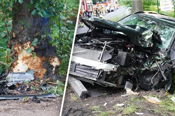Schwerer Unfall in Pulsnitz: BMW kracht gegen Baum - zwei Menschen schwer verletzt