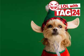 Joke of the Day for December 22, 2025: A doggy Christmas funny