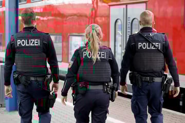 Festnahme am Hauptbahnhof: Beamte finden bei Reisendem gefälschte Dokumente