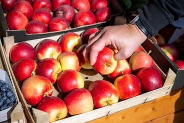Hitze und Trockenheit setzen Obst zu: In NRW wird die Ernte knapp