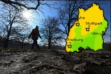 Bis zu 15 Grad in Baden-Württemberg: Hier wird es besonders frühlingshaft