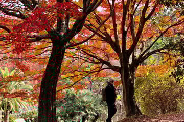 Spruch des Tages vom 3.11.2025 - Tägliche Inspiration von TAG24