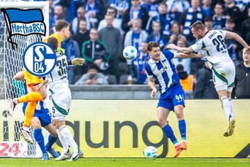 Abstiegszone rückt näher! Hertha spielt sich gegen Schalke tiefer in Krise