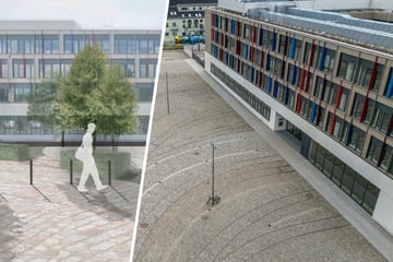 Dresden: Betonwüste in Tolkewitz: Jetzt gibt's Streit um die Baum-Finanzierung