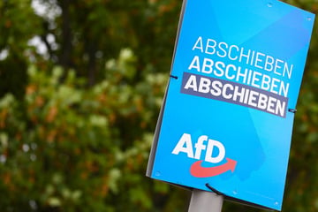 Leipzig: Stab mit Teppichmesser: 18-Jähriger und Kumpels schneiden AfD-Plakate ab