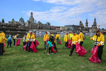Dresden: Kampf gegen Müll: Dresden vermeldet großes Interesse an Elbwiesen-Reinigung