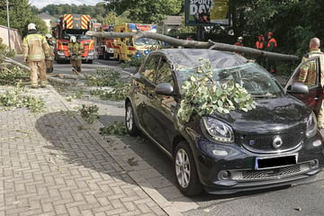 Feuerwehr nach Sturm gefordert: Baum stürzt auf Smart, Fahrerin verletzt