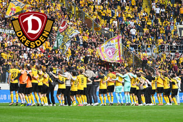 Dynamo-Dresden-Blog: SGD erhält Lizenzen für 2. Bundesliga und 3. Liga