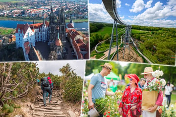 Dresden: Samstag noch nichts geplant? Dann kommen hier 8 tolle Tipps