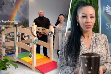 "Seelenpfote" kümmert sich um würdevollen Abschied vom Haustier