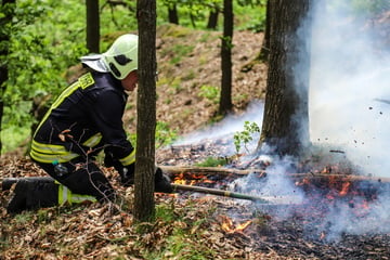 Chemnitz: Mit der Hitze steigt die Brandgefahr: So verhaltet Ihr Euch richtig in Chemnitzer Wäldern