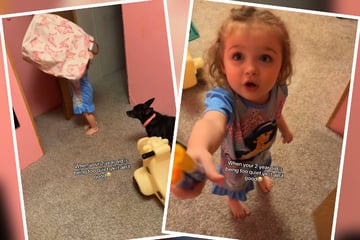 Zweijährige verhält sich verdächtig still: Als Mutter nachsieht, ergreift sie irrwitzige Flucht