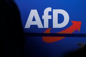Ukraine-Krieg: Diese AfD-Politiker reisen nach Russland