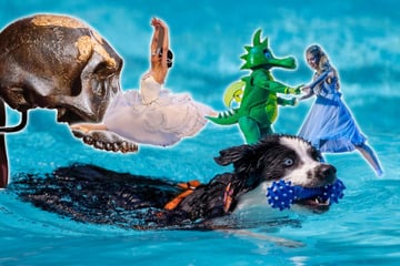 Sieben Ideen für einen Sonntagsausflug in Chemnitz und Umgebung