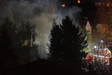 Hamburg: Flammen fressen Gebäude: Einfamilienhaus brennt komplett aus