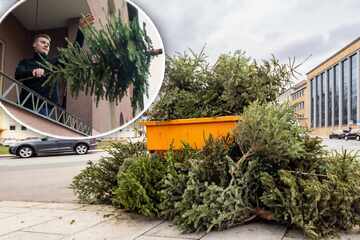 Dresden: Fest vorbei: Hier können Dresdner jetzt ihren Weihnachtsbaum entsorgen