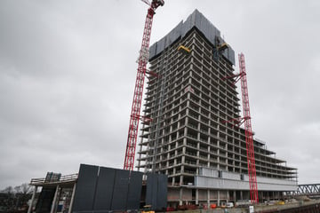 Hamburg: Naturkundemuseum im Elbtower wird wirtschaftlich geprüft