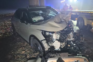 Horror-Crash in Brandenburg: Auto gerät in Gegenverkehr - zwei Tote