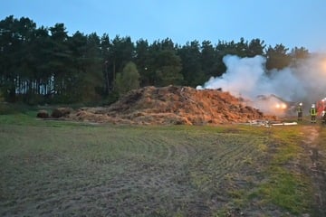 Misthaufen geht in Flammen auf: Polizei hat eine Theorie