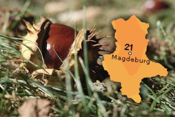 Mildes Herbstwochenende im Anmarsch: So wird das Wetter in Sachsen-Anhalt