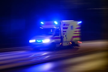 Unfall A24: Crash auf der A24: Skoda-Fahrer nickt ein und zerstört Wildschutzzäune