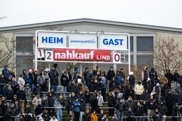 Berlin: Randale in der Regionalliga: Fußballfans prügeln Polizisten bewusstlos