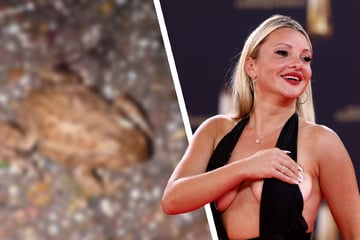 Evelyn Burdecki: TV-Liebling Evelyn Burdecki auf tierischer Rettungsmission: "Ich konnte gar nicht anders!"