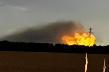 Flammen mitten in der Nacht: Waldbrand ruft Einsatzkräfte auf den Plan