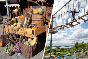 Markttage, Hobbymesse und Kletterpark: Der Sonntag in Leipzig wird garantiert nicht langweilig