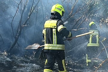Sieben Brände an einem Tag! Wurde Feuerwehr von Brandstifter auf Trab gehalten?