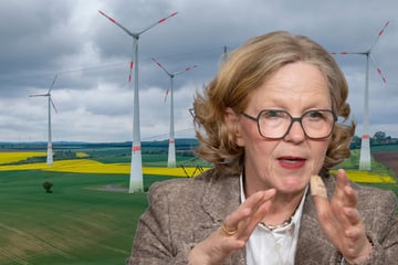 Ministerin ermöglicht Baustopp für Windräder in Sachsen