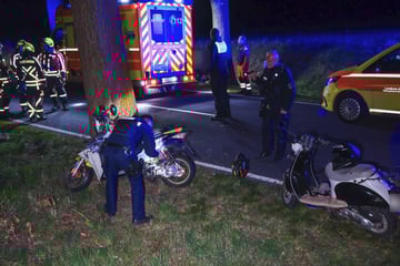 Moped-Fahrer gibt den Daumen nach oben, dann kracht er gegen einen Baum