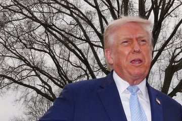 Nahost-Konflikt: Iran hat USA laut Trump um Waffenruhe gebeten