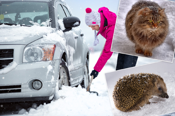 Gefahr im Schnee: Deswegen solltet Ihr im Winter immer unters Auto gucken!