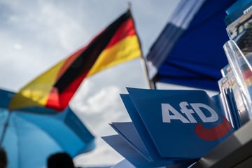 Von wegen Aufschwung: Ökonomen erwarten negative Folgen durch AfD-Erfolge