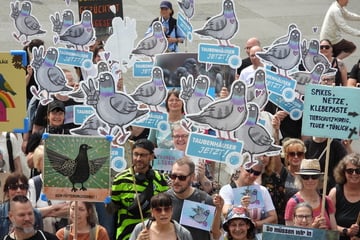 "Hamburg mach keinen Shit!": Über 100 Menschen demonstrieren für Tauben