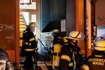 Ein Verletzter bei Wohnungsbrand: Feuerwehr rettet Katze aus den Flammen