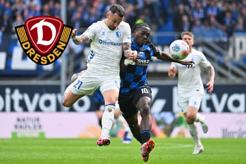 Dynamo-Dresden-Blog: Dynamo vor Leihe von Stürmer aus der Bundesliga