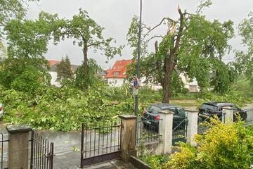 Unwetter in NRW: Tornado richtet in Lippstadt schwere Zerstörung an
