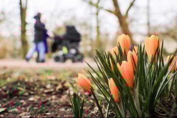 Schnee, Glätte, Regen oder Sonne? So geht's mit dem NRW-Wetter weiter